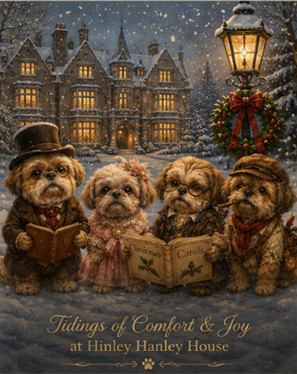 Weekly Update - For new weekly stories and canine caperings at Hinley Hanley House. Weekly Update - For new weekly stories and canine caperings at Hinley Hanley House.